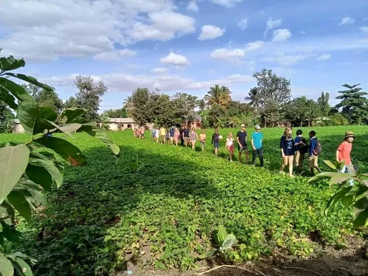 Turistas explorando las plantaciones de arroz durante la excursión cultural en Mto wa Mbo con Tours Land Safaris