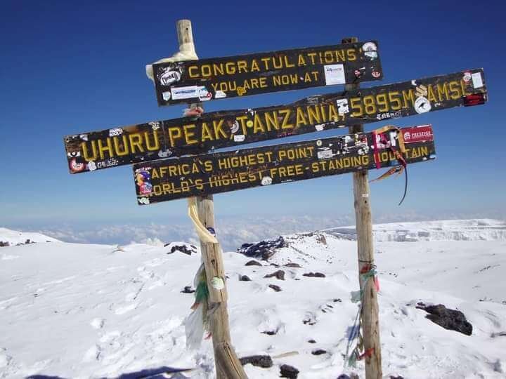 Ascenso al kilimanjaro organizado. Llegada a cima