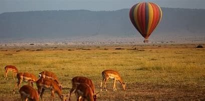 Kilimanjaro, safari y extensión Zanzíbar. Parque Serengeti con vistas de un globo