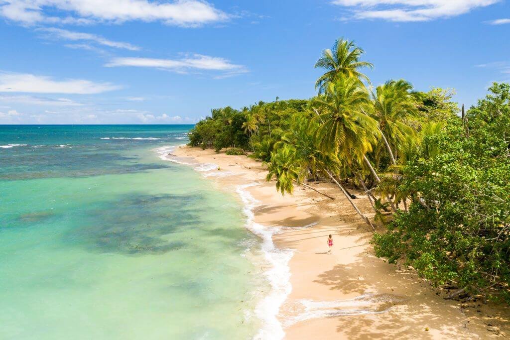 Safari "La Gran Migración", Playas de Zanzíbar