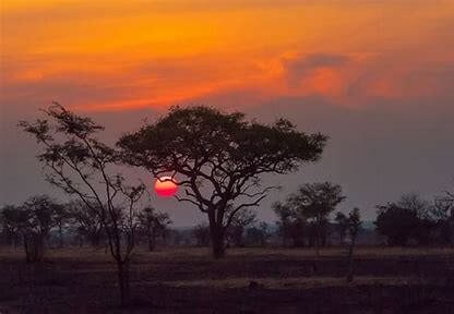 Viaje a Tanzania otoño, atardecer en el Serengeti