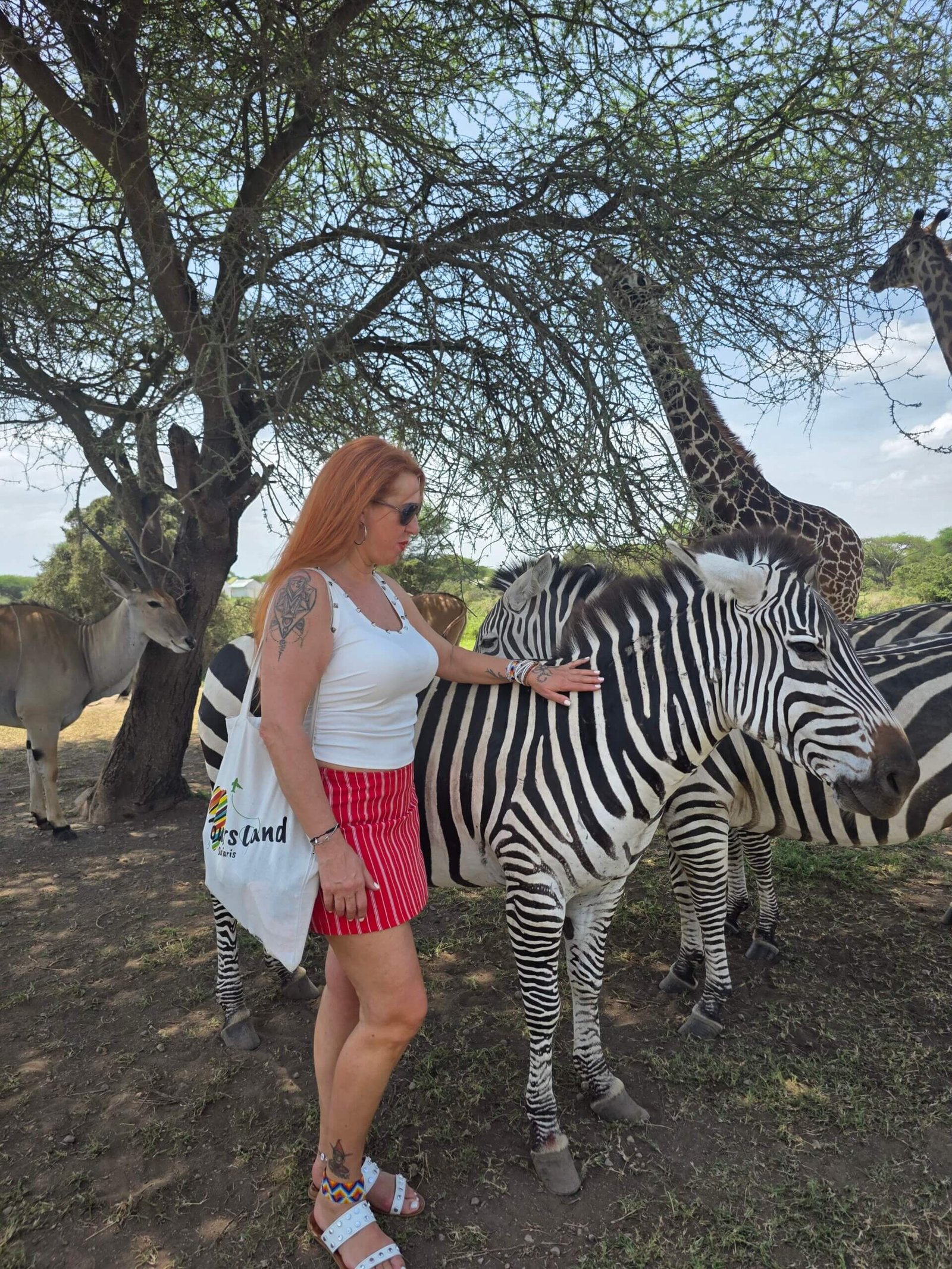 María de Tours Land Safaris interactuando con cebras en el Parque Serval, Tanzania