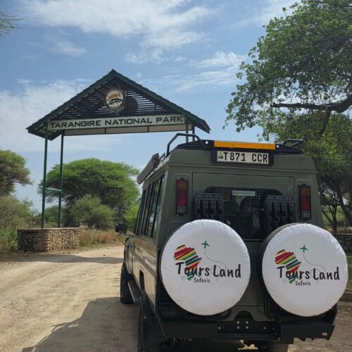 Entrada al Parque Nacional de Tarangire con 4×4 de safari de Tours Land Safaris
