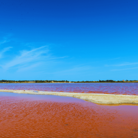 Otra vista del Lago Rosa de Senegal con aguas rosadas y entorno natural