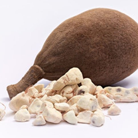 Fruto de Baobab