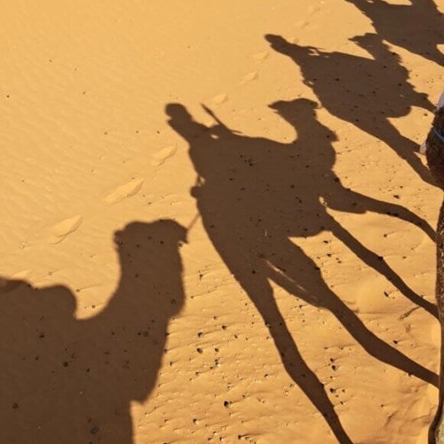 Paseo en dromedario por el desierto de Marruecos